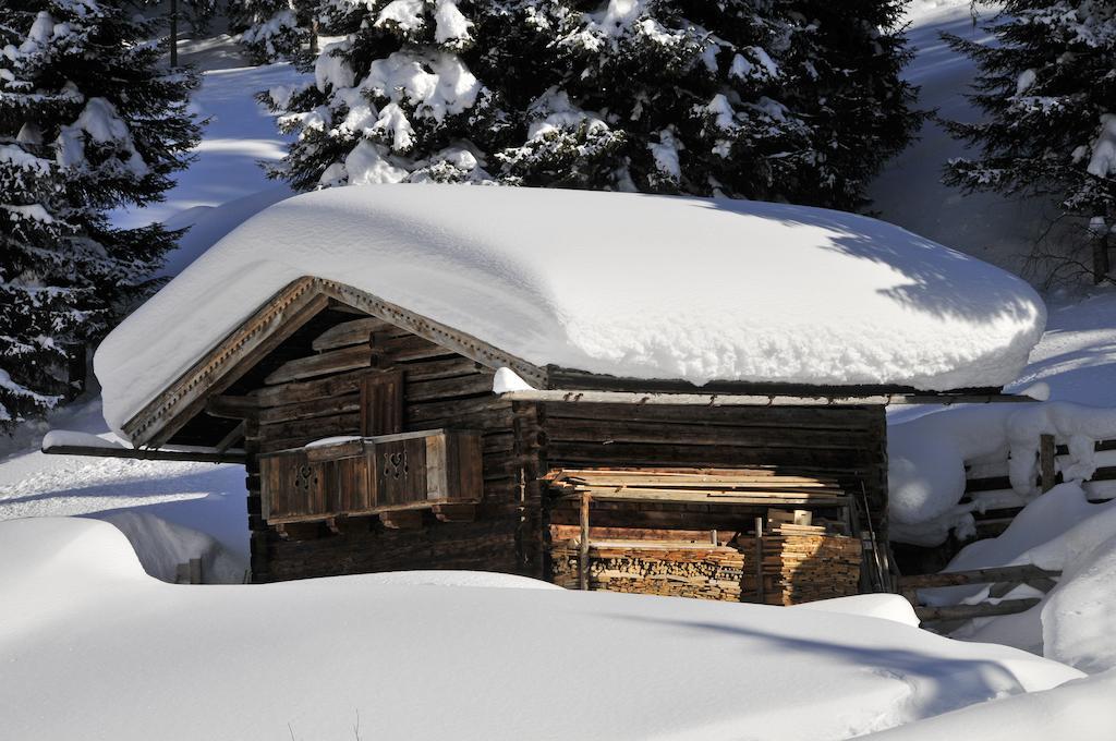 Appartements St. Leonhard Aschau Im Zillertal Bagian luar foto